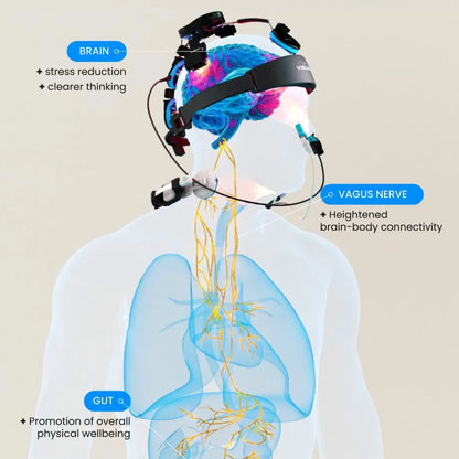 Vielight Neuro Duo 4 + Vagus:  Photobiomodulation Technology